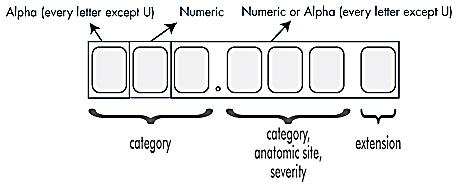 ICD-10 Code Structure image